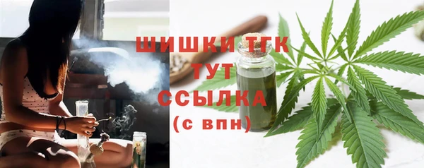 2c-b Ельня