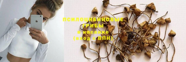 спиды Елабуга