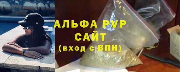 2c-b Ельня
