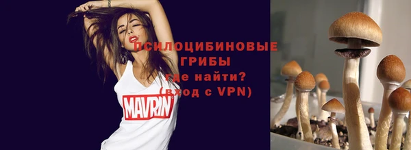 синтетический гашиш Протвино