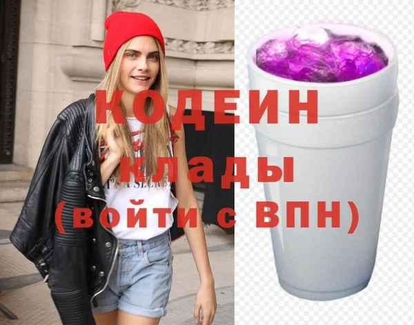 2c-b Ельня