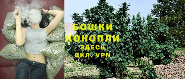 2c-b Ельня