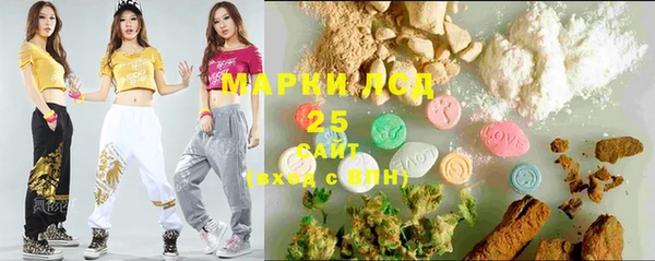 2c-b Ельня