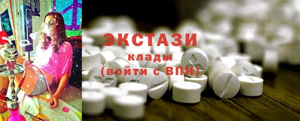 2c-b Ельня