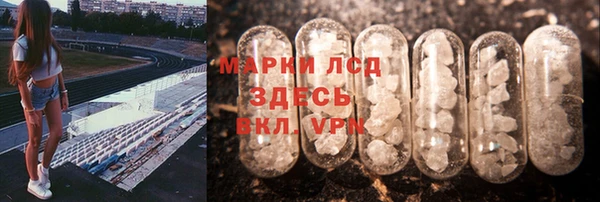 2c-b Ельня