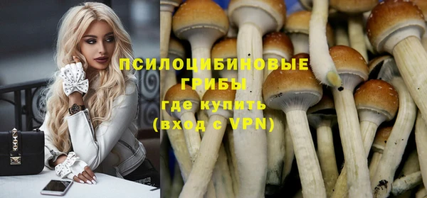 спиды Елабуга